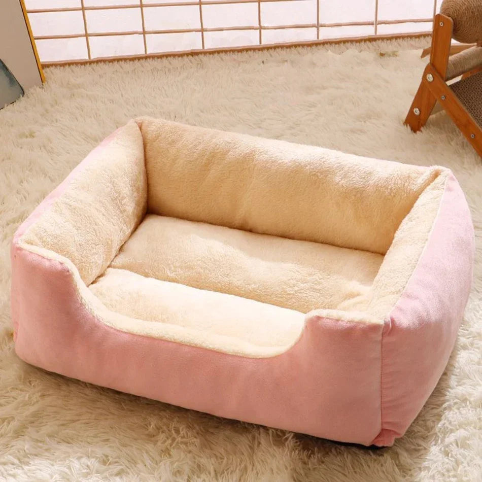 Cozy cushioned pet bed for cats, kittens, and small dogs