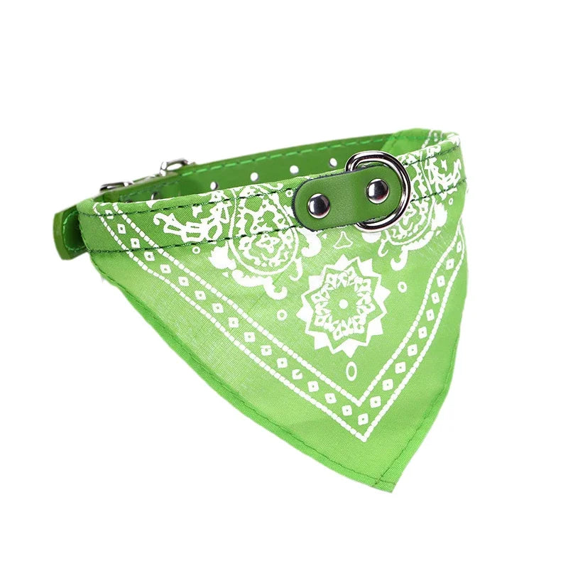 Adjustable Dog Collar with Scarf