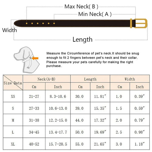 Adjustable Dog Collar with Scarf
