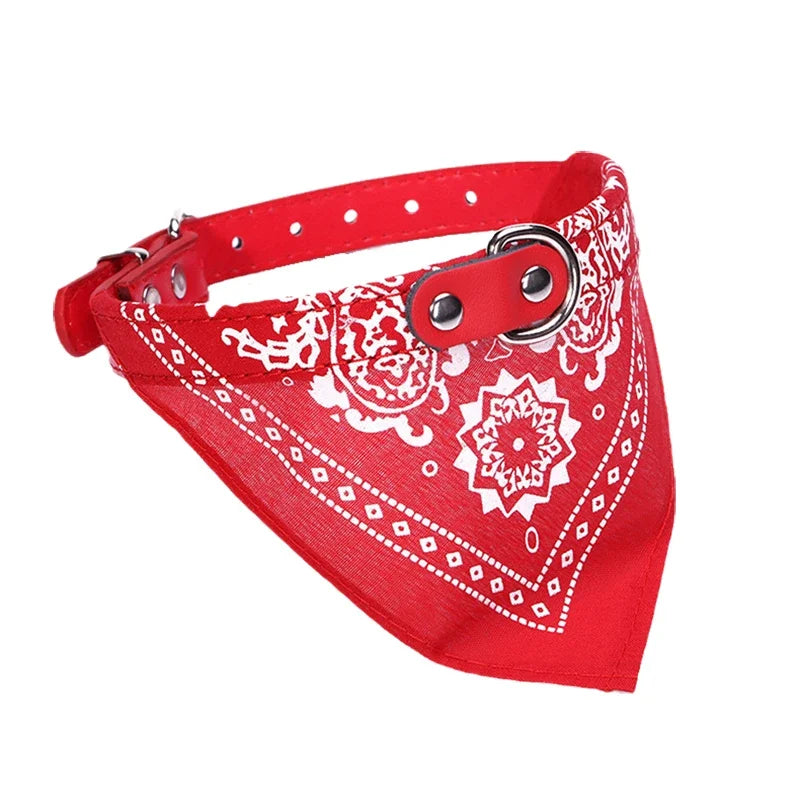 Adjustable Dog Collar with Scarf