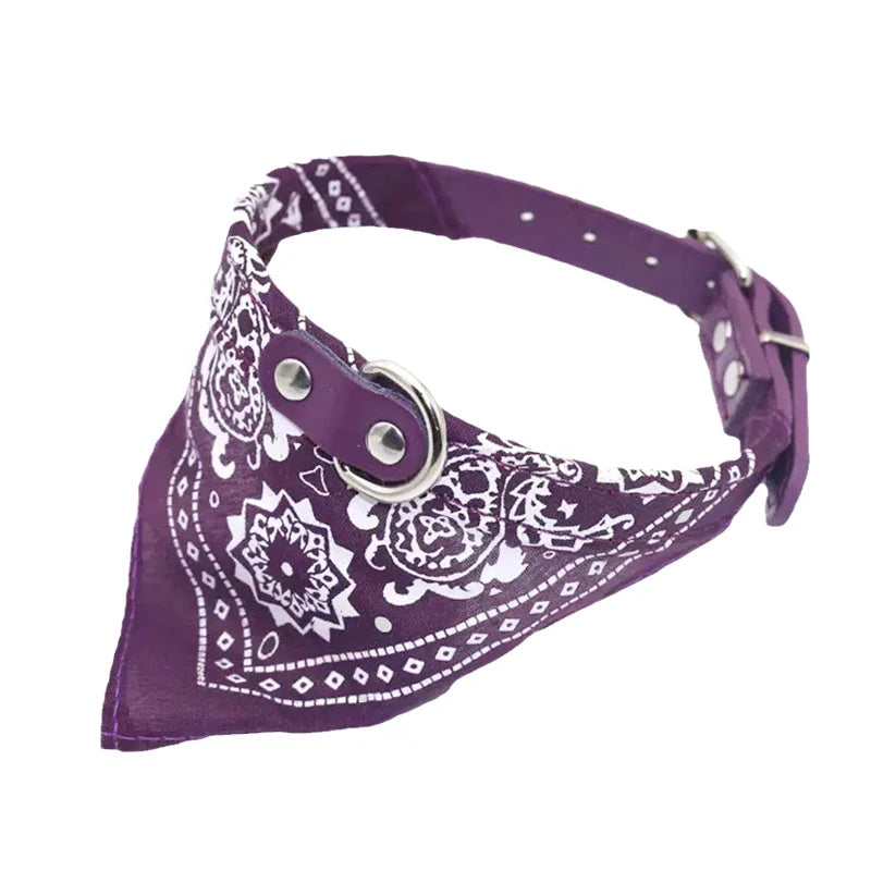 Adjustable Dog Collar with Scarf