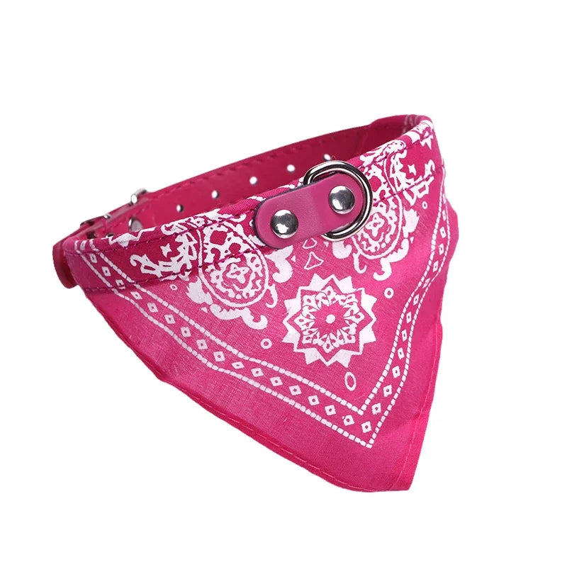Adjustable Dog Collar with Scarf